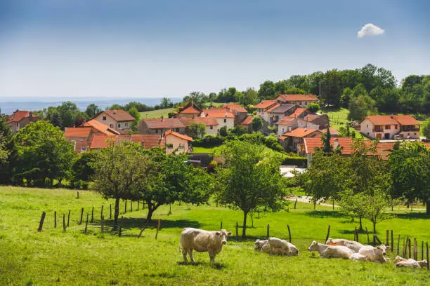 Agriculteurs Roumains