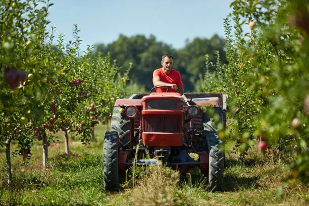 Conducteur Agricole Roumain