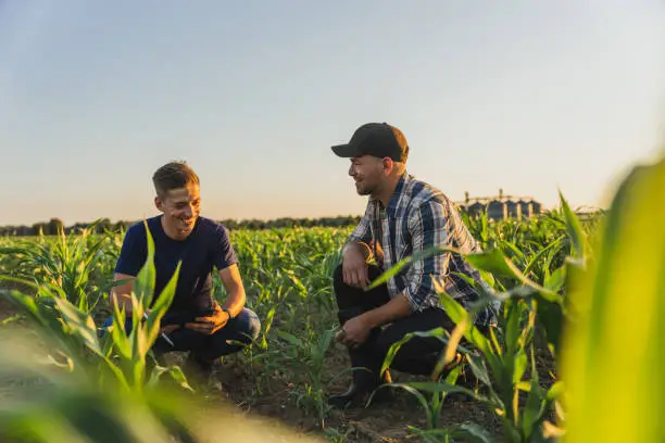 Ingénieur Agronome Roumain