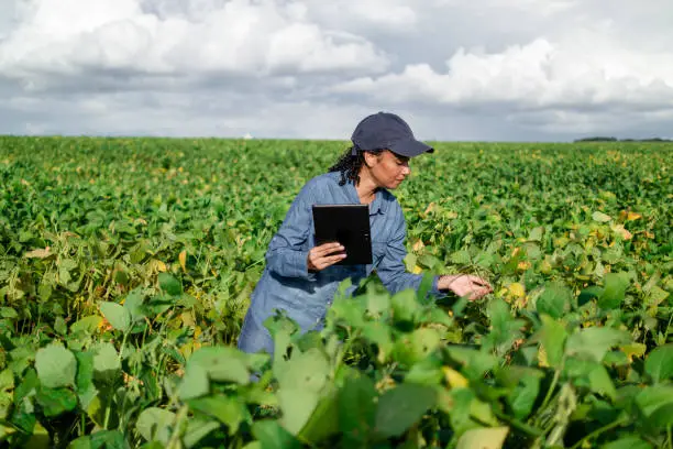 Ingénieur Agronome Roumain