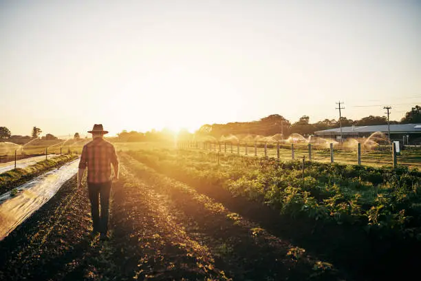 Intérimaire Agricole Roumain