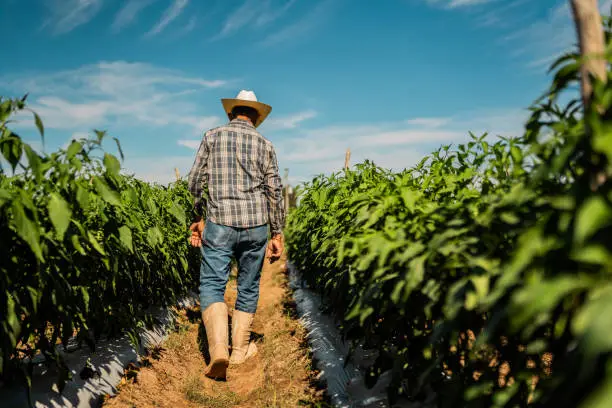 travailleurs agricoles en action
